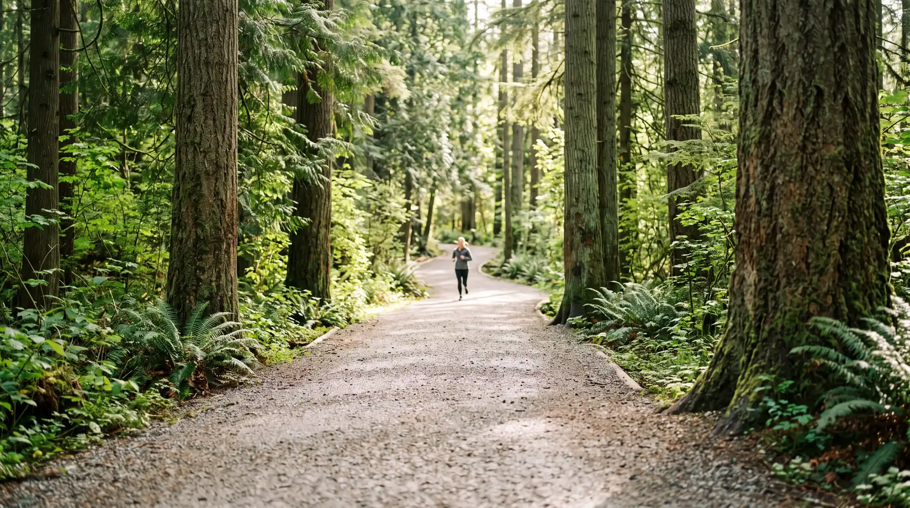 Forest Glen, Burnaby